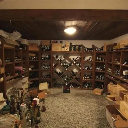 Chalet Gano * 샤모니